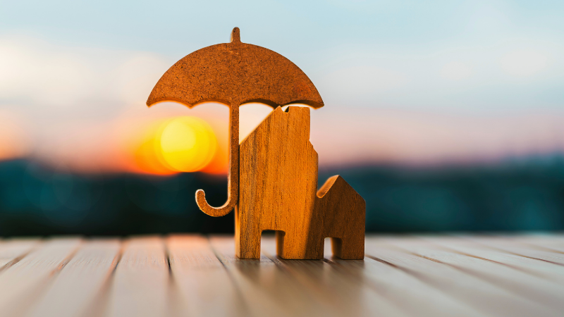 Buyers: Insurance Essentials on Long Island From Homeowners to Flood Coverage Photo